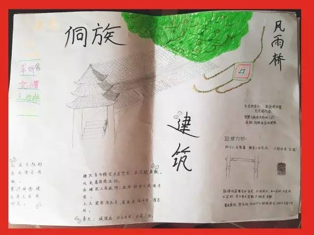 欧博国际app