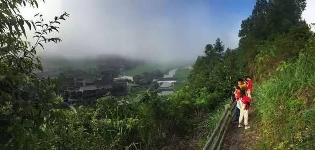 欧博国际app