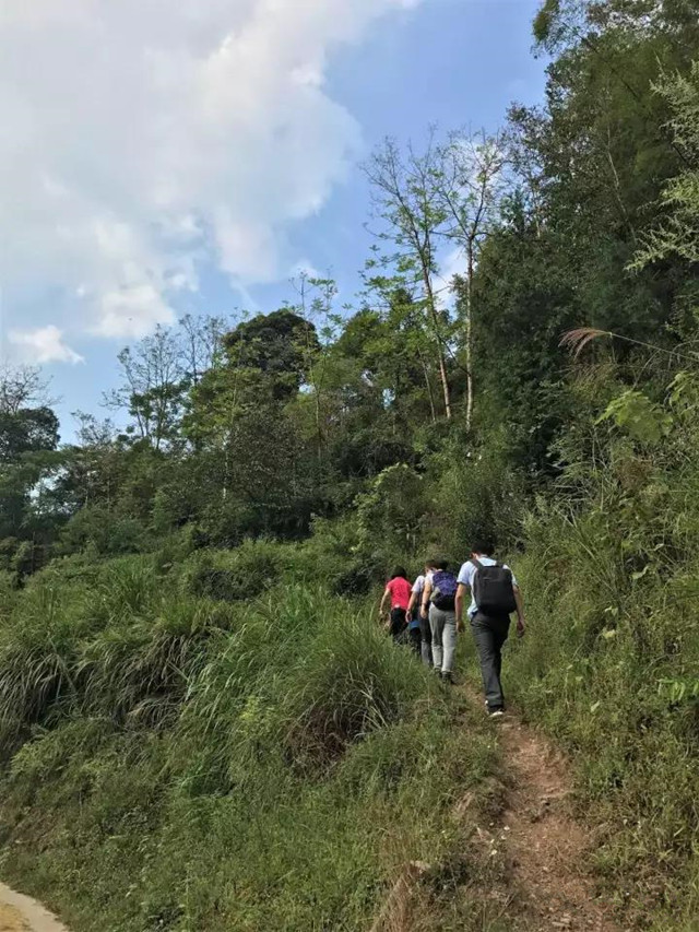 欧博国际app