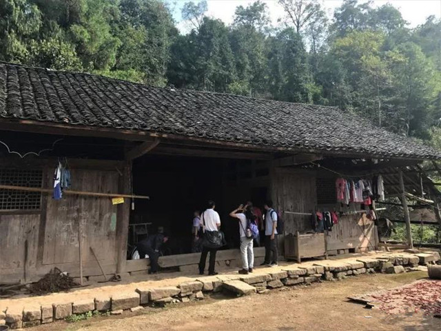 欧博国际app