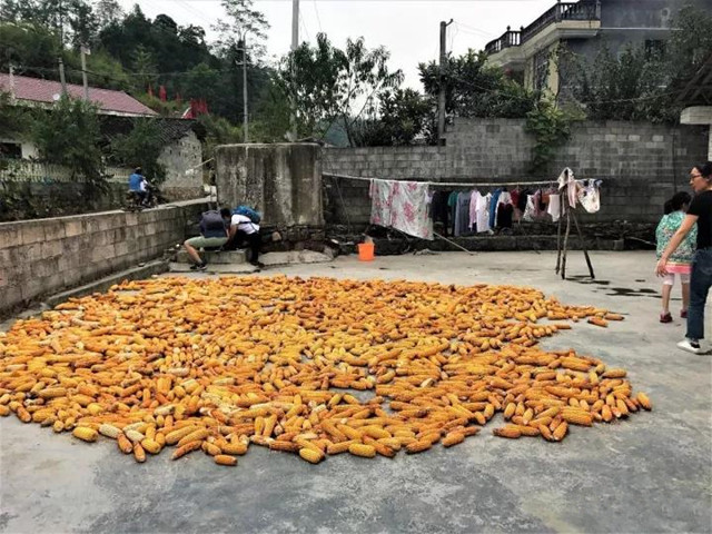 欧博国际app