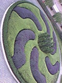 欧博国际app