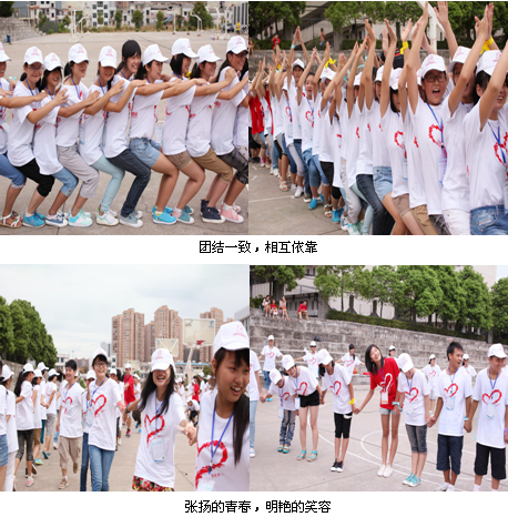欧博国际app