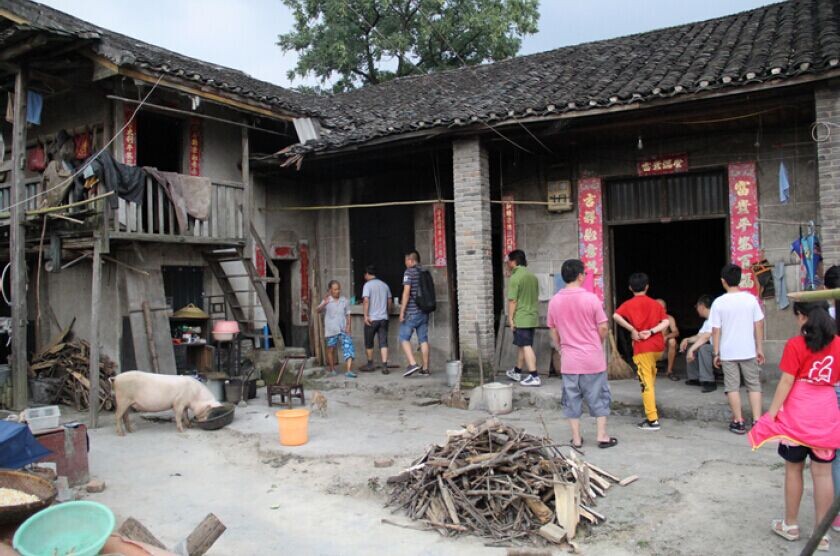欧博国际app