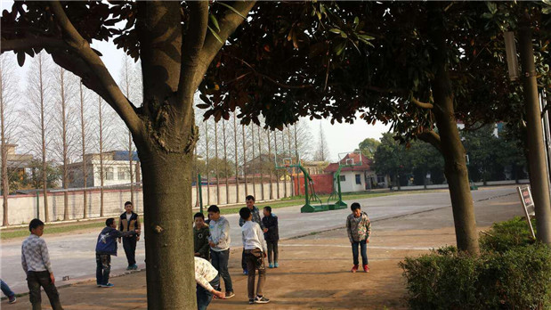 欧博国际app
