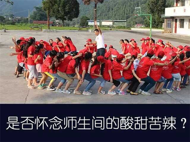欧博国际app