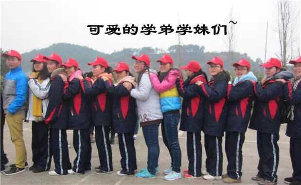 欧博国际app
