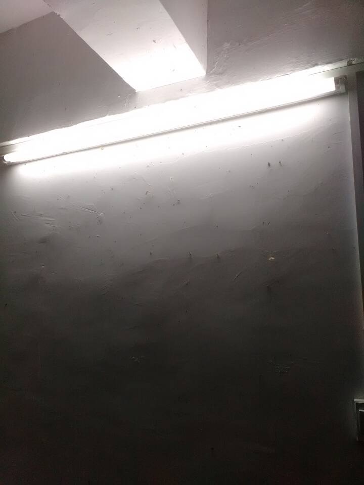 欧博国际app