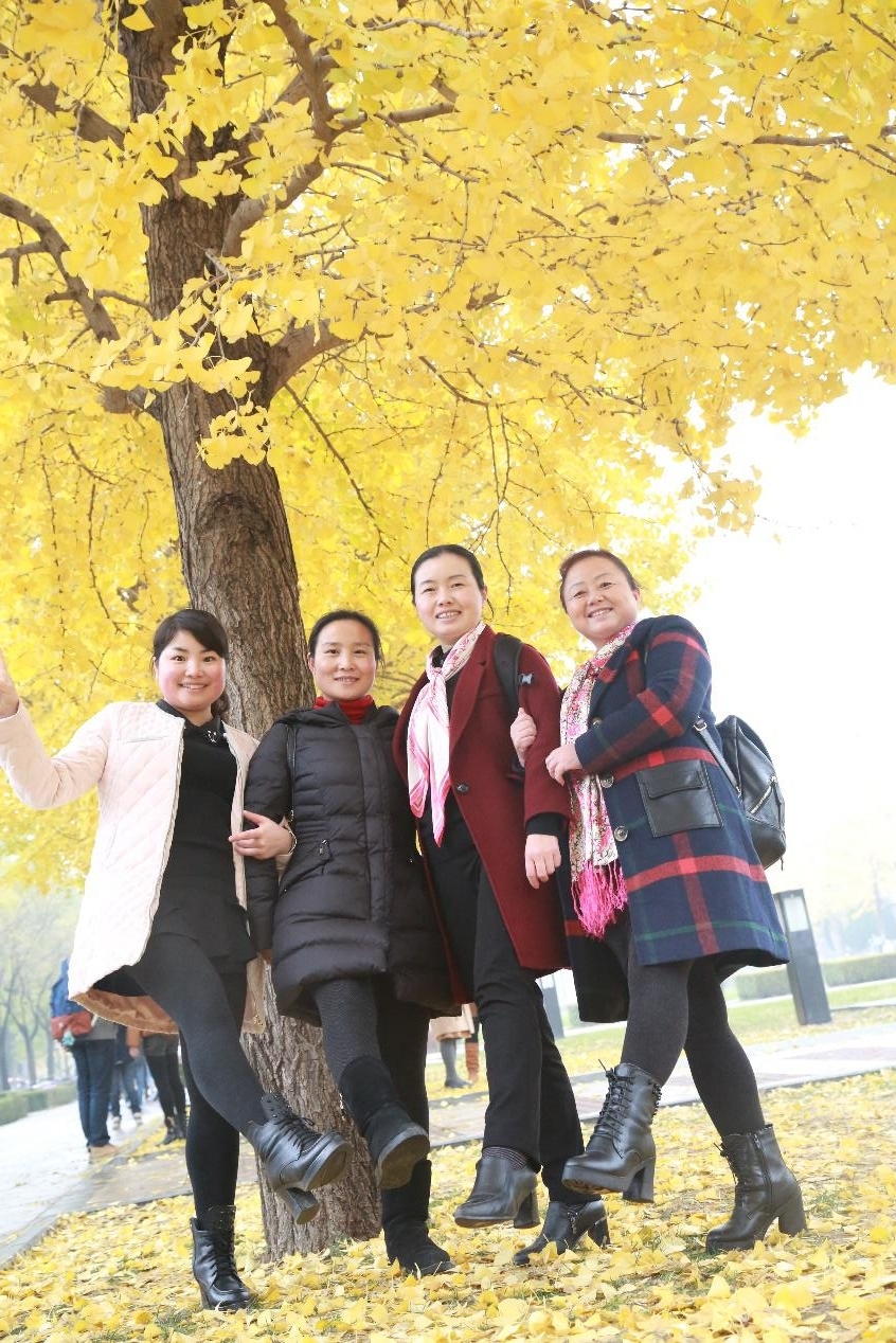 欧博国际app