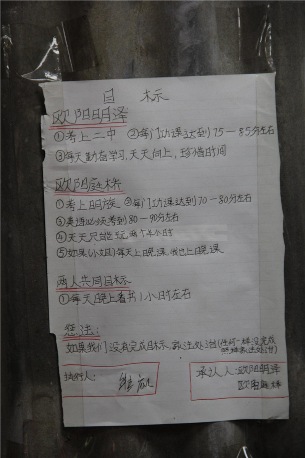 欧博国际app