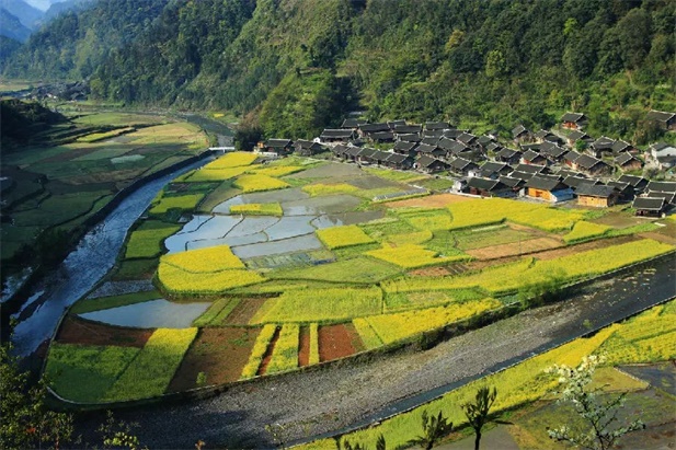 欧博国际app