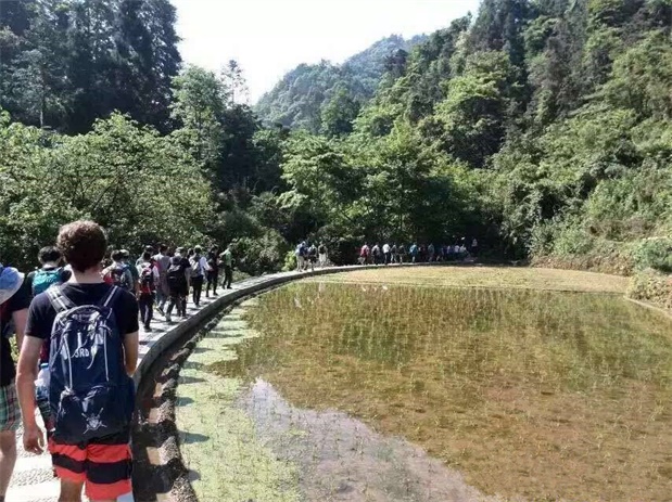 欧博国际app