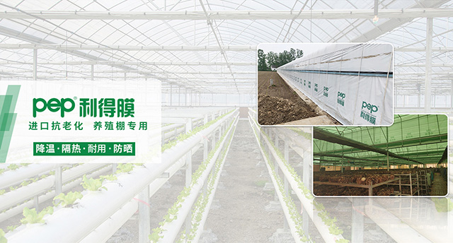 pep利得膜