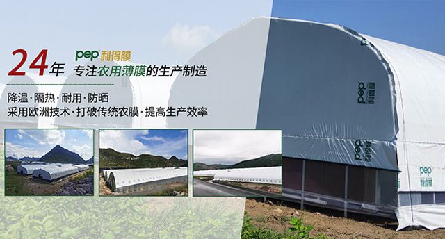 pep利得膜