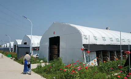 养殖大棚用黑白膜