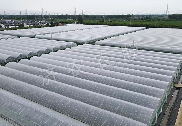 同江蓝莓大棚膜供应商