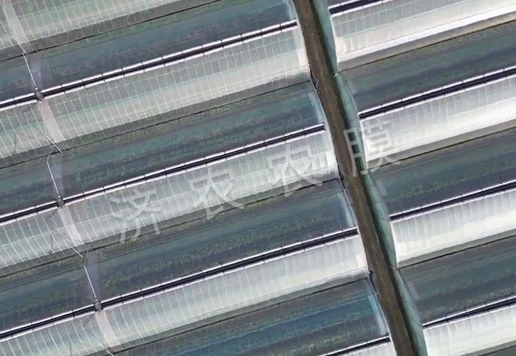 同江蓝莓大棚膜安装